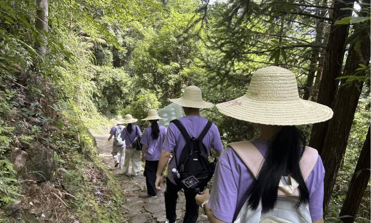 天成彩票