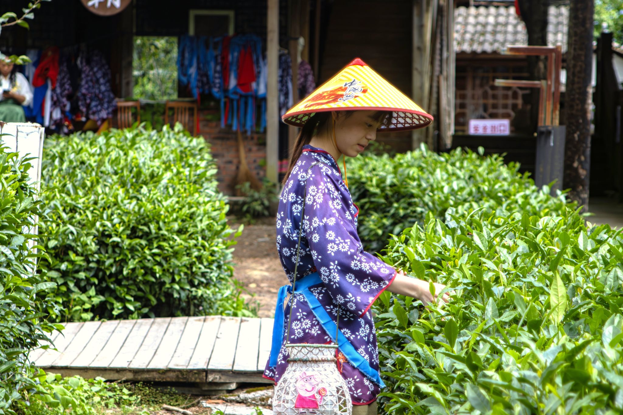 天成彩票